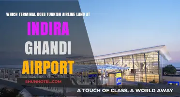 Turkish Airlines' Landing Terminal at Indira Gandhi Airport Revealed