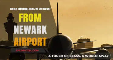 Departing Newark: UA 70's Terminal Guide for Travelers