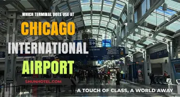 Navigating Chicago International Airport: Which Terminal Should You Use?