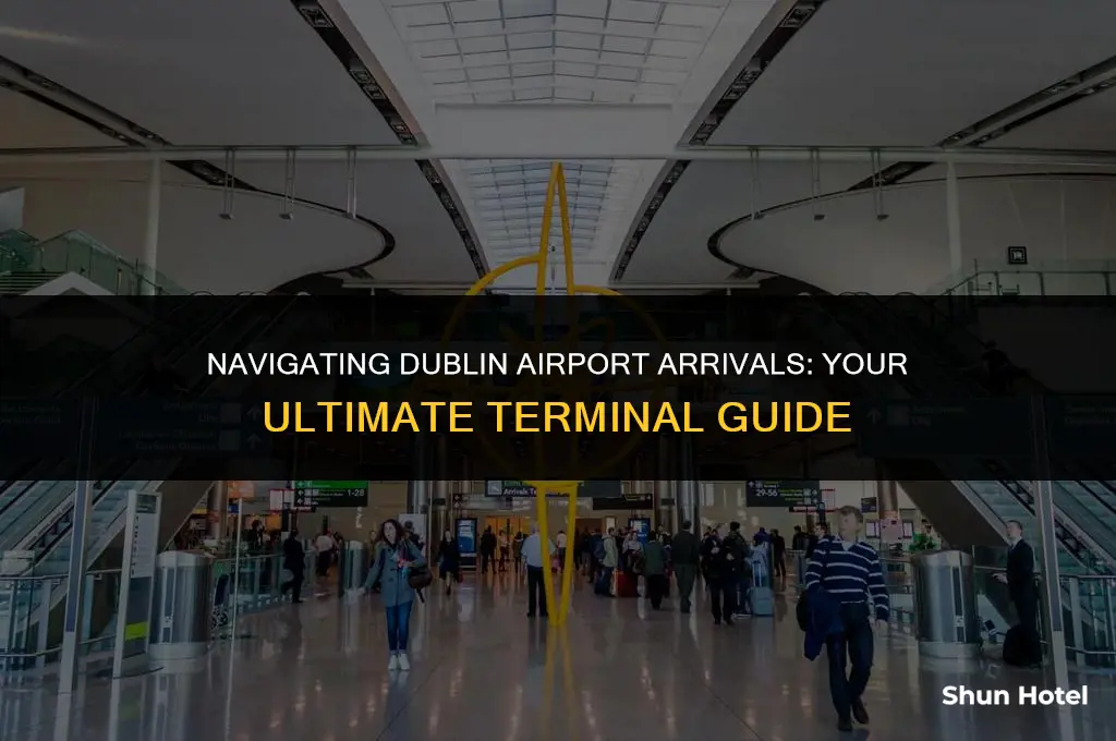 which terminal dublin airport arrivals
