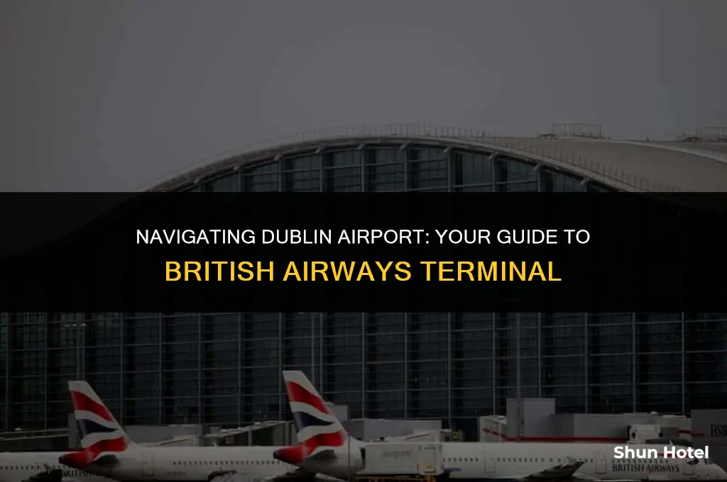 which terminal dublin airport british airways