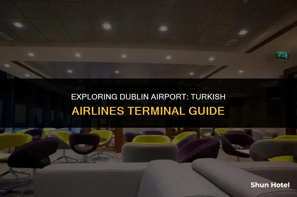 which terminal dublin airport turkish airlines
