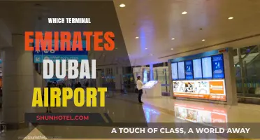 Exploring Dubai Airport: Your Guide to Terminals and Emirates Facilities