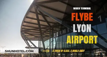 Exploring Lyon: A Guide to Flybe's Terminal at the Airport