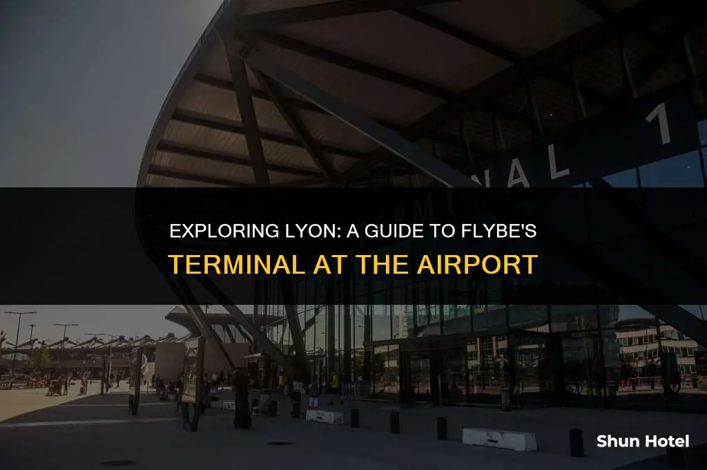 which terminal flybe lyon airport