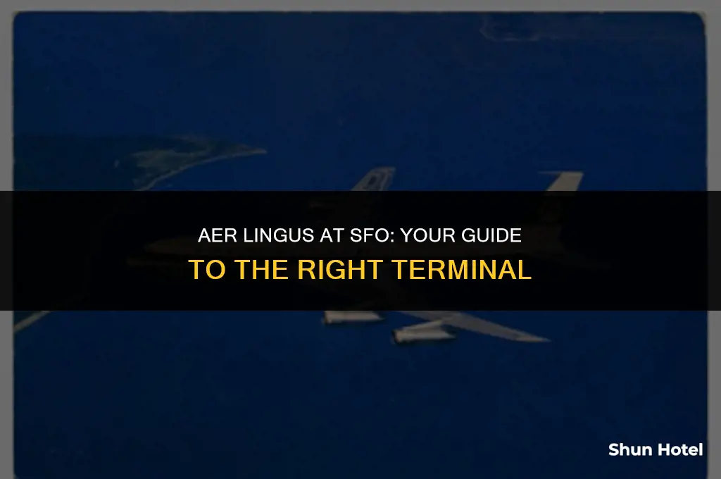 which terminal for aer lingus at san francisco airport