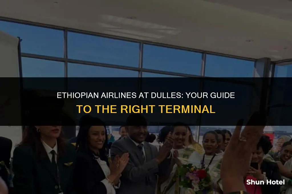 which terminal for ethiopian airlines at dulles airport