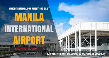 Manila International Airport: Finding Terminal for Flight 180 DL