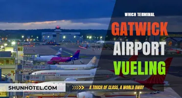 Vueling's Gatwick Terminal: Your Ultimate Guide to a Smooth Journey