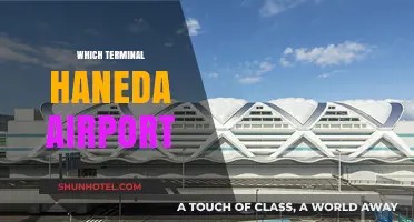 Exploring Tokyo: A Guide to Haneda Airport's Terminals