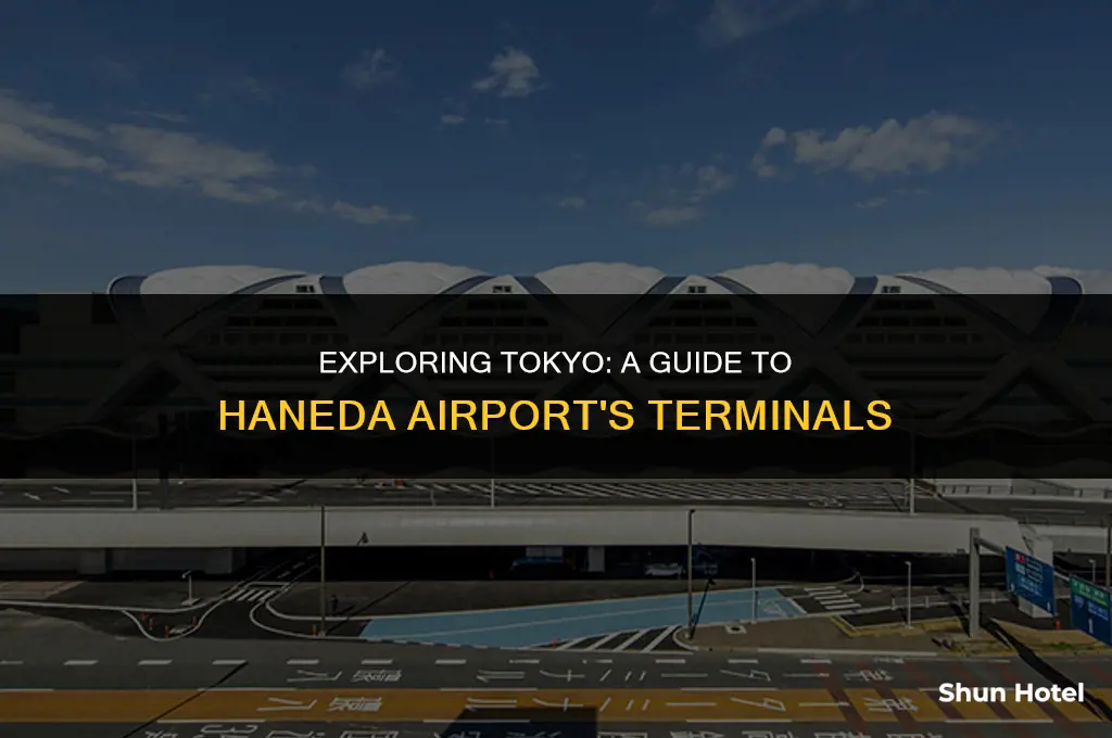 which terminal haneda airport