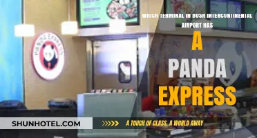 Savoring Panda Express at Bush Intercontinental: Terminal Guide