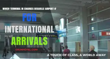 Navigating Charles de Gaulle Airport: International Arrivals Terminal Guide