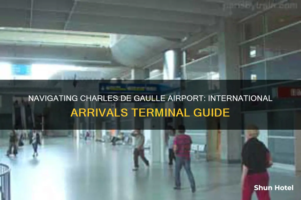 which terminal in charkes degaulle airport if for international arrivals