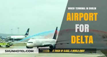Navigating Dublin Airport: Which Terminal for Delta Airlines?