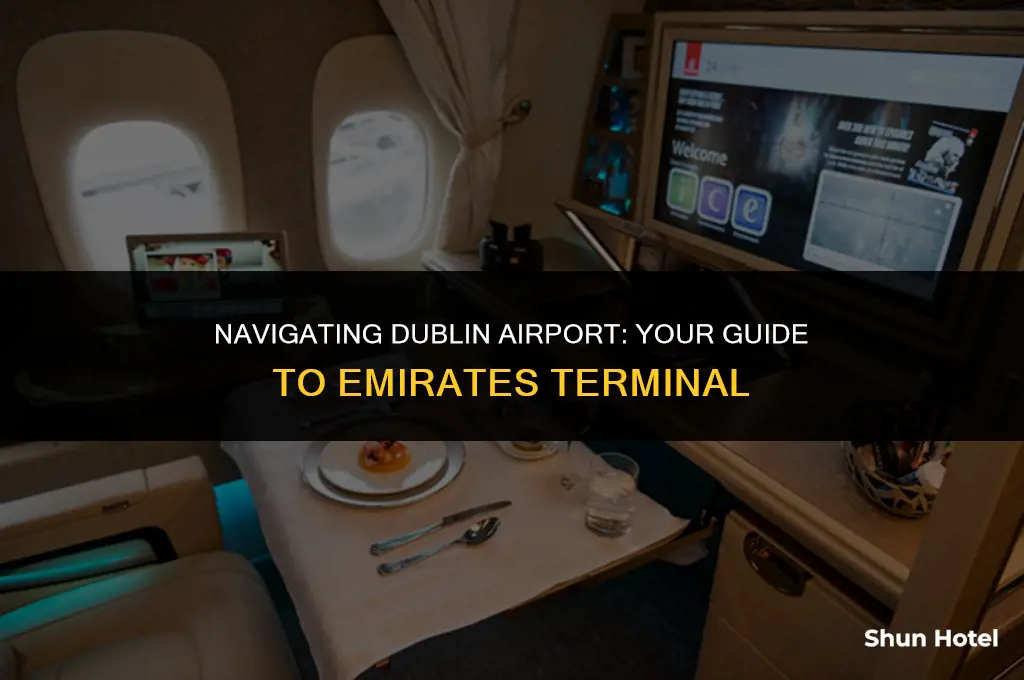 which terminal in dublin airport for emirates