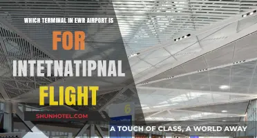 Navigating Newark: Your Guide to International Terminals at EWR Airport