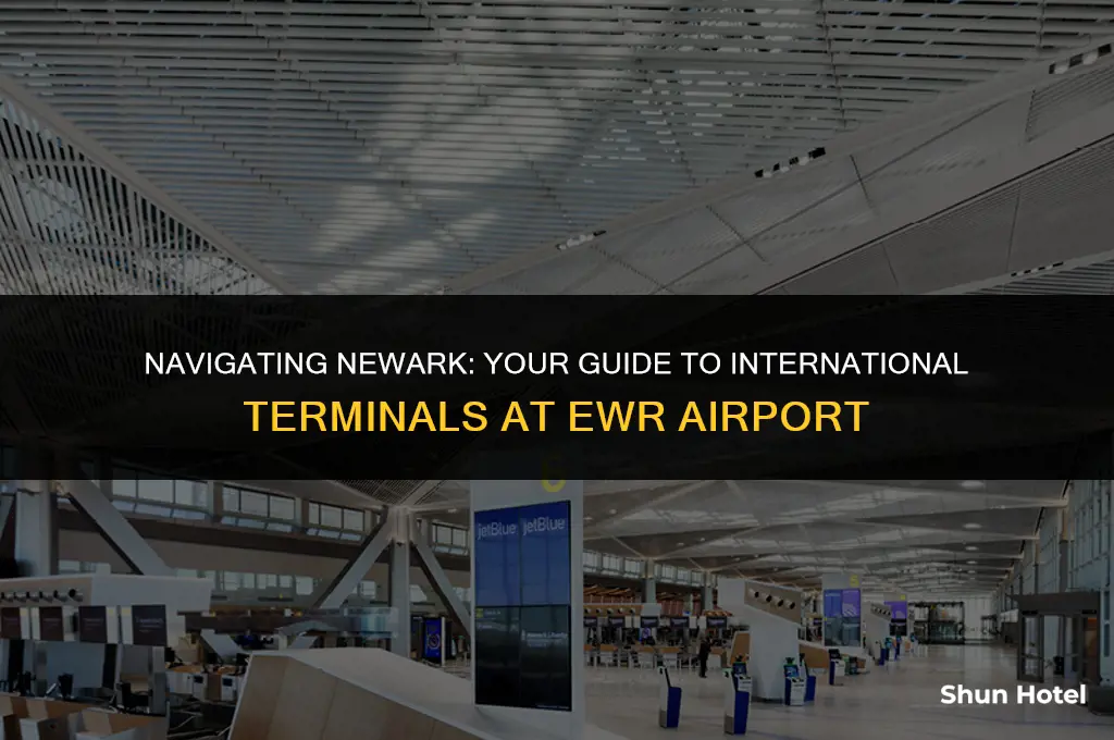 which terminal in ewr airport is for intetnatipnal flight