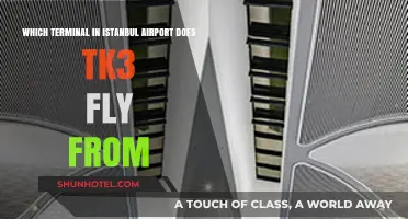Istanbul Airport Terminal Guide: TK3 Departure Location Revealed