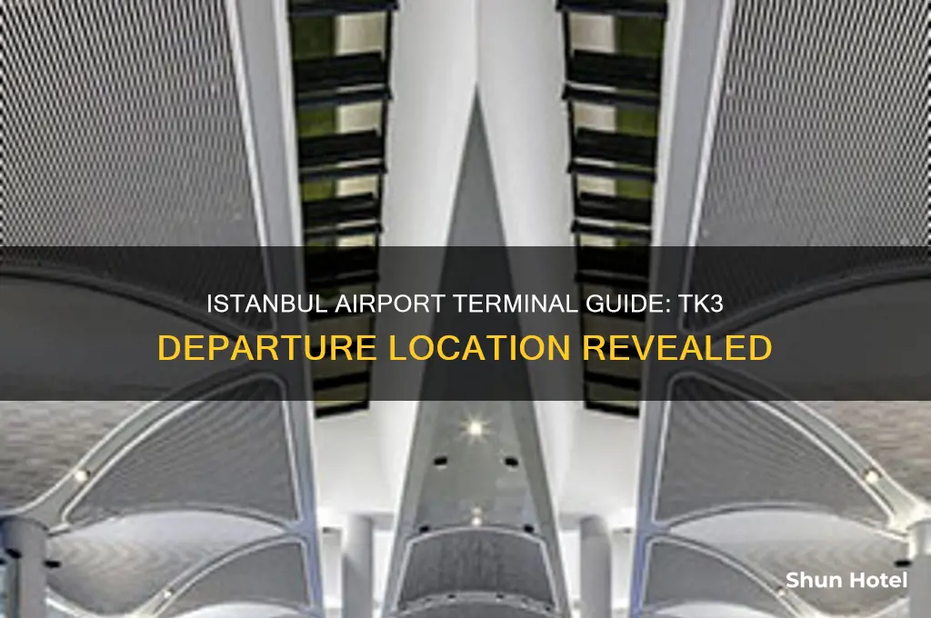 which terminal in istanbul airport does tk3 fly from