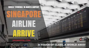 Singapore Airlines Arrival Terminal at Narita Airport: Your Guide