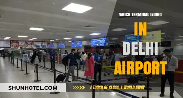 Navigating Delhi Airport: Your Guide to Terminal Indigo