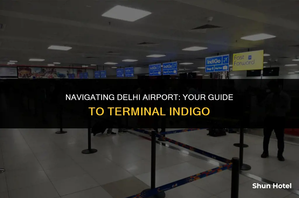 which terminal indigo in delhi airport