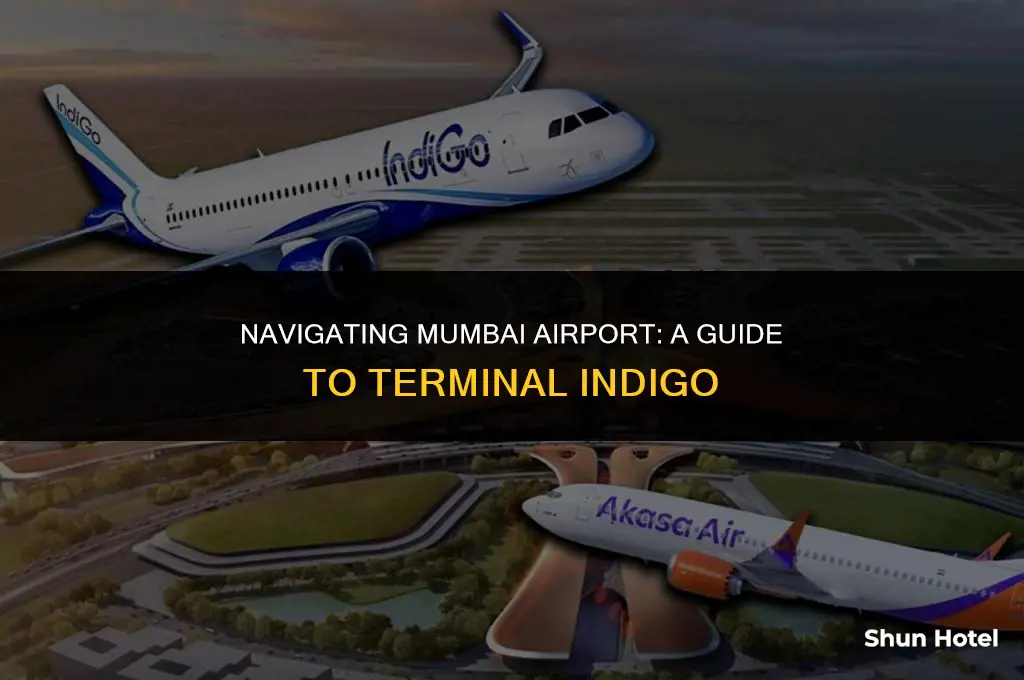 which terminal indigo in mumbai airport