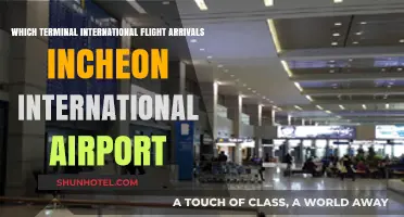 Navigating Incheon International Airport: A Guide to International Arrivals Terminals