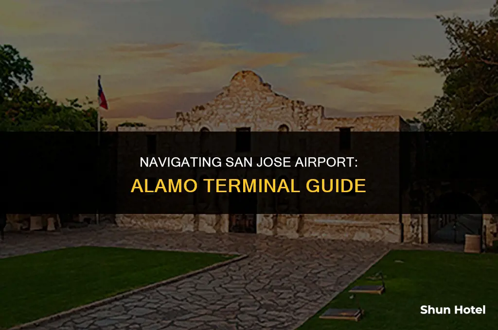 which terminal is alamo located at san jose airport