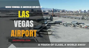 Navigating Las Vegas Airport: American Airlines Terminal Guide