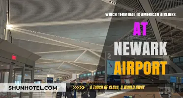 Navigating Newark Airport: Locating American Airlines Terminal