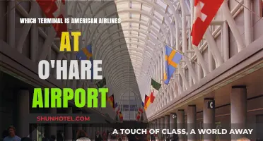 Navigating O'Hare: American Airlines Terminal Guide