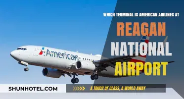 Navigating Reagan National: Where to Find American Airlines Terminal