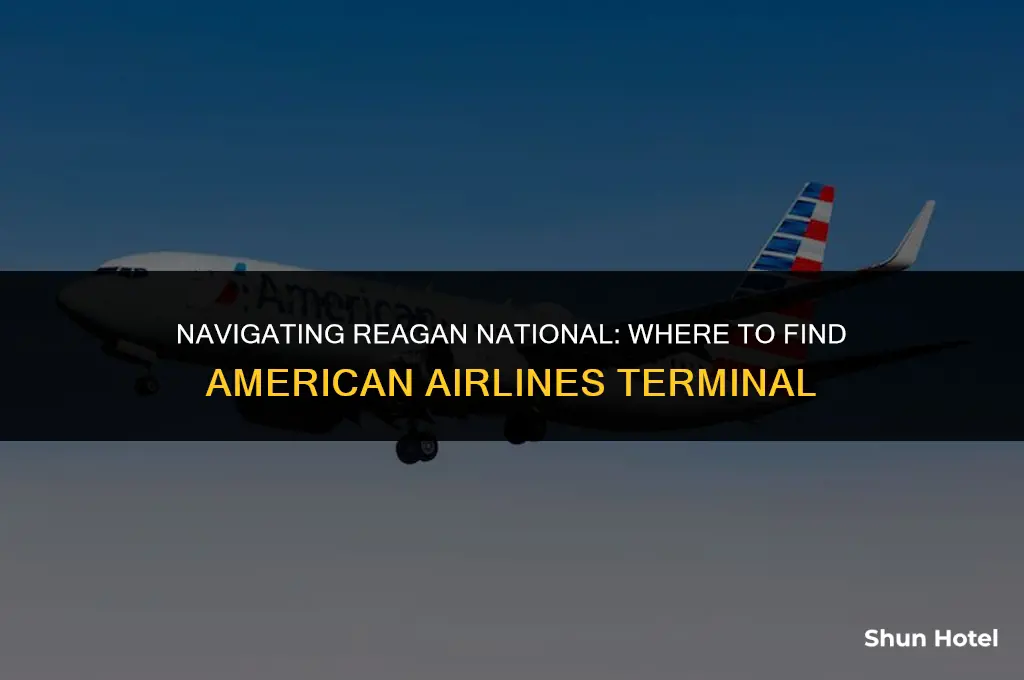 which terminal is american airlines at reagan national airport