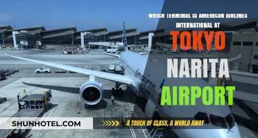 American Airlines International Terminal Guide: Tokyo Narita Airport