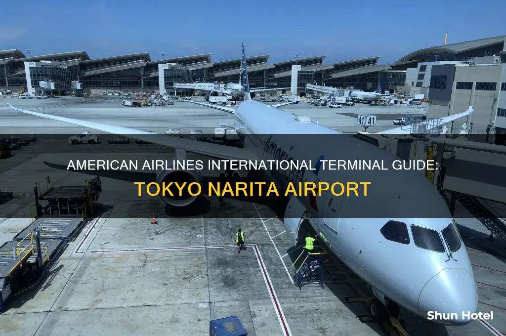 which terminal is american airlines international at tokyo narita airport