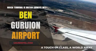 Navigating Ben Gurion: Locating British Airways' Terminal