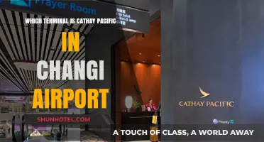 Exploring Changi: A Guide to Cathay Pacific's Terminal
