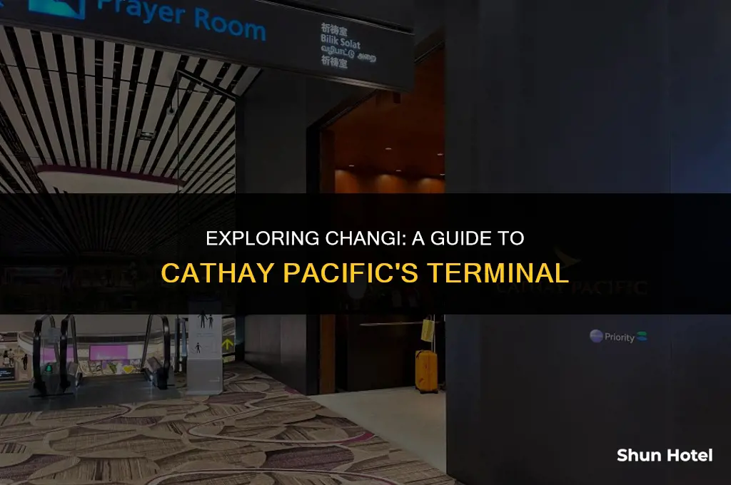 which terminal is cathay pacific in changi airport