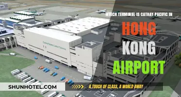 Discovering Cathay Pacific's Terminal at Hong Kong Airport: A Traveler's Guide
