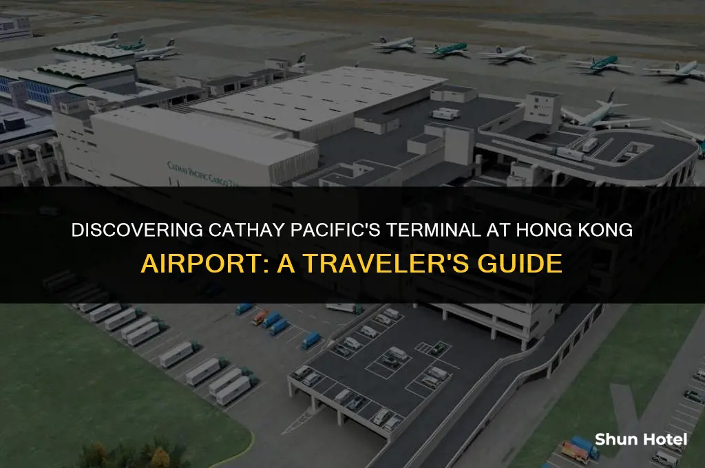 which terminal is cathay pacific in hong kong airport