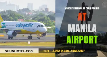 Exploring Manila Airport: Cebu Pacific's Terminal Guide