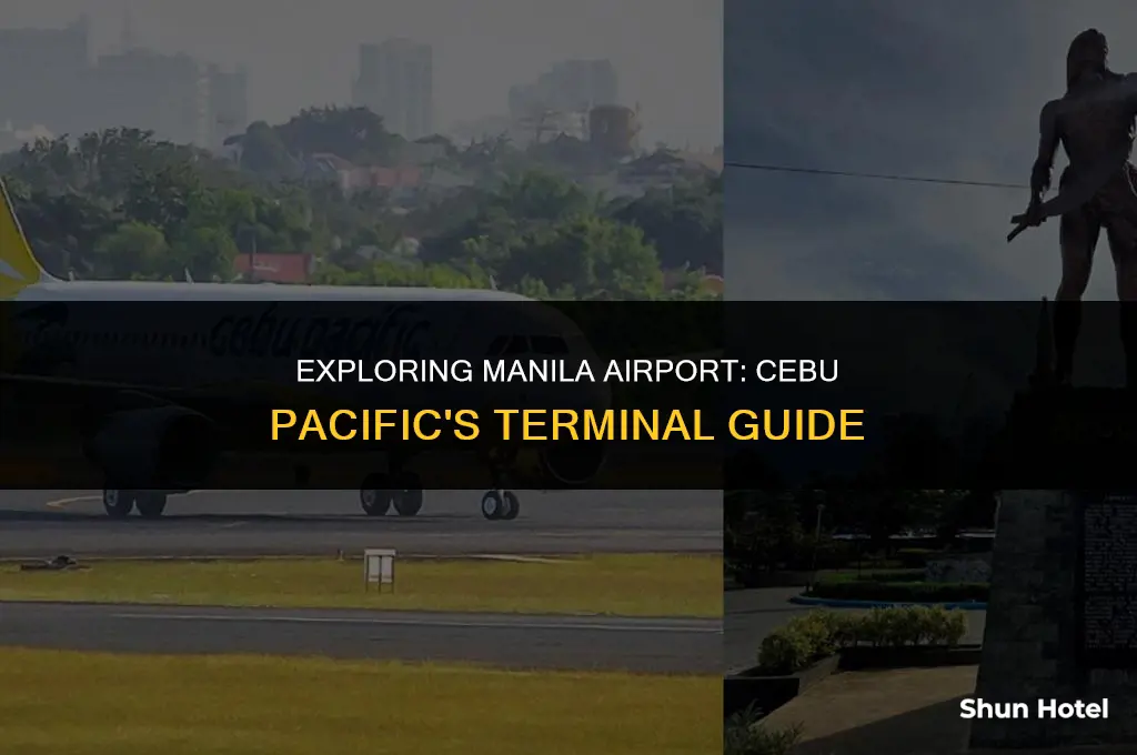 which terminal is cebu pacific at manila airport