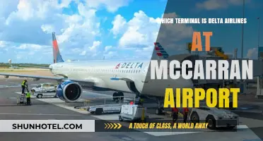 Delta Airlines Terminal at McCarran: Your Ultimate Guide