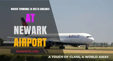 Delta Airlines Terminal Guide: Navigating Newark Airport with Ease
