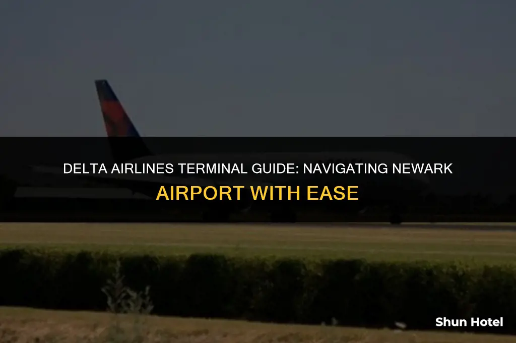 which terminal is delta airlines at newark airport