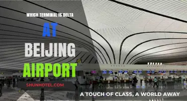 Navigating Beijing Airport: Locating Delta's Terminal Made Easy