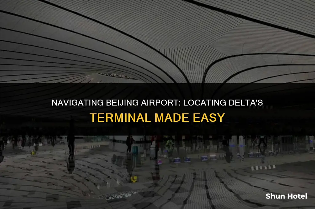 which terminal is delta at beijing airport