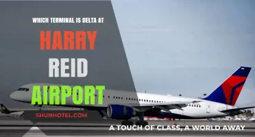 Delta's Terminal at Harry Reid Airport: Your Complete Guide
